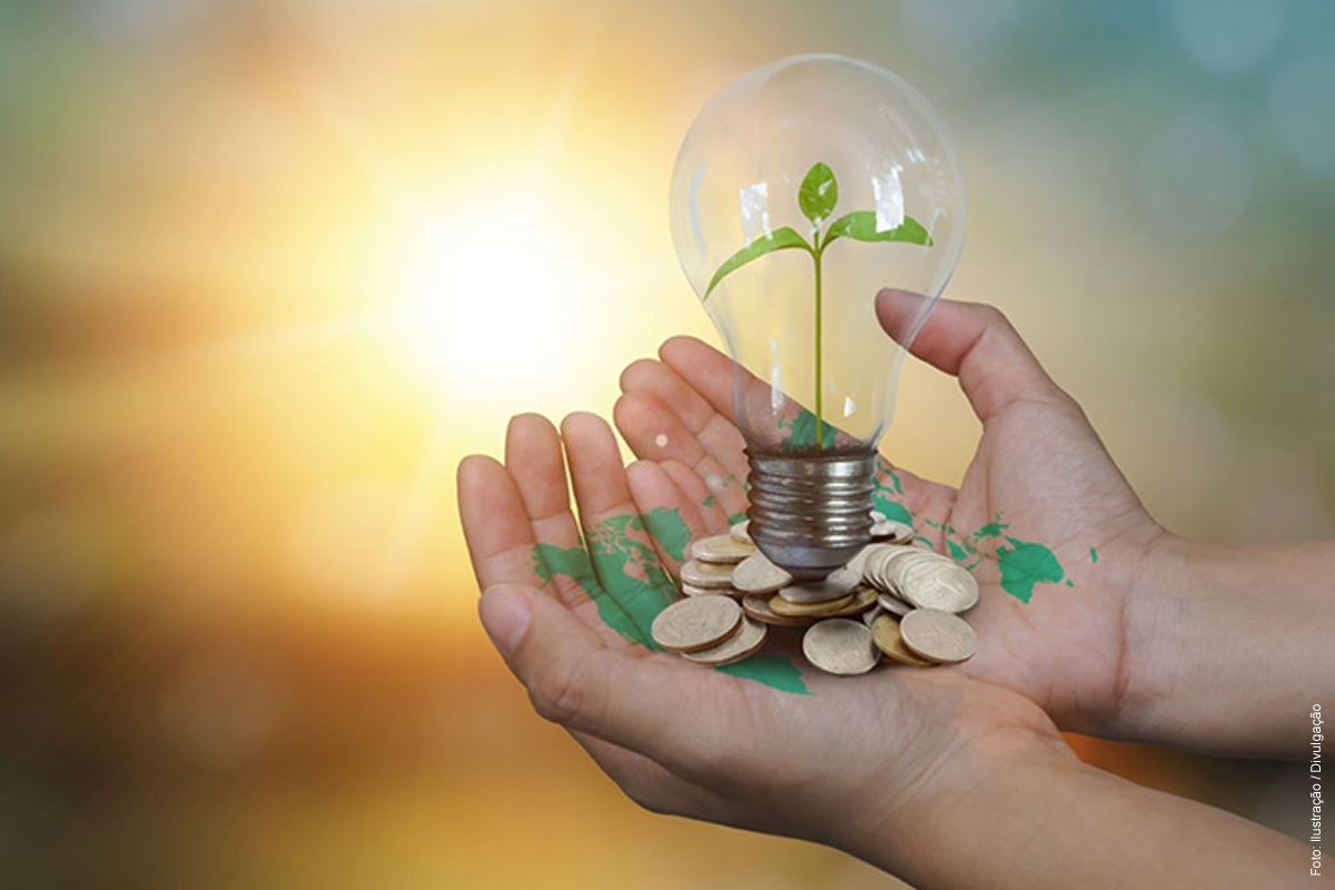 O papel dos biocombustíveis na transição energética – Parte II