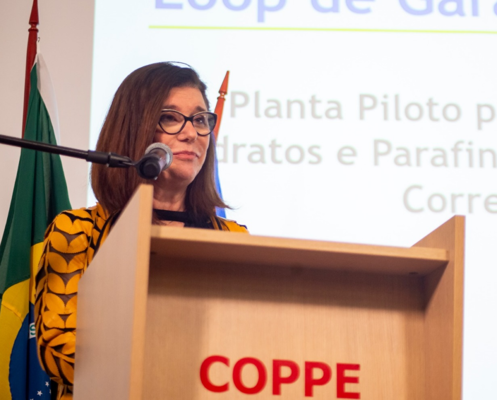 CHAMBRIARD prevê que produção de fertilizantes no Brasil exigirá 30 milhões de metros cúbicos de gás natural por dia