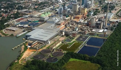 Gigante da celulose com 1.000 fazendas, aposta R$ 24 bilhões em megaindústria; veja onde