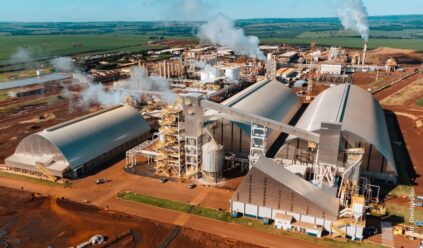 São Martinho investe mais de R$ 1 bilhão em etanol de milho – mas sem abandonar a cana