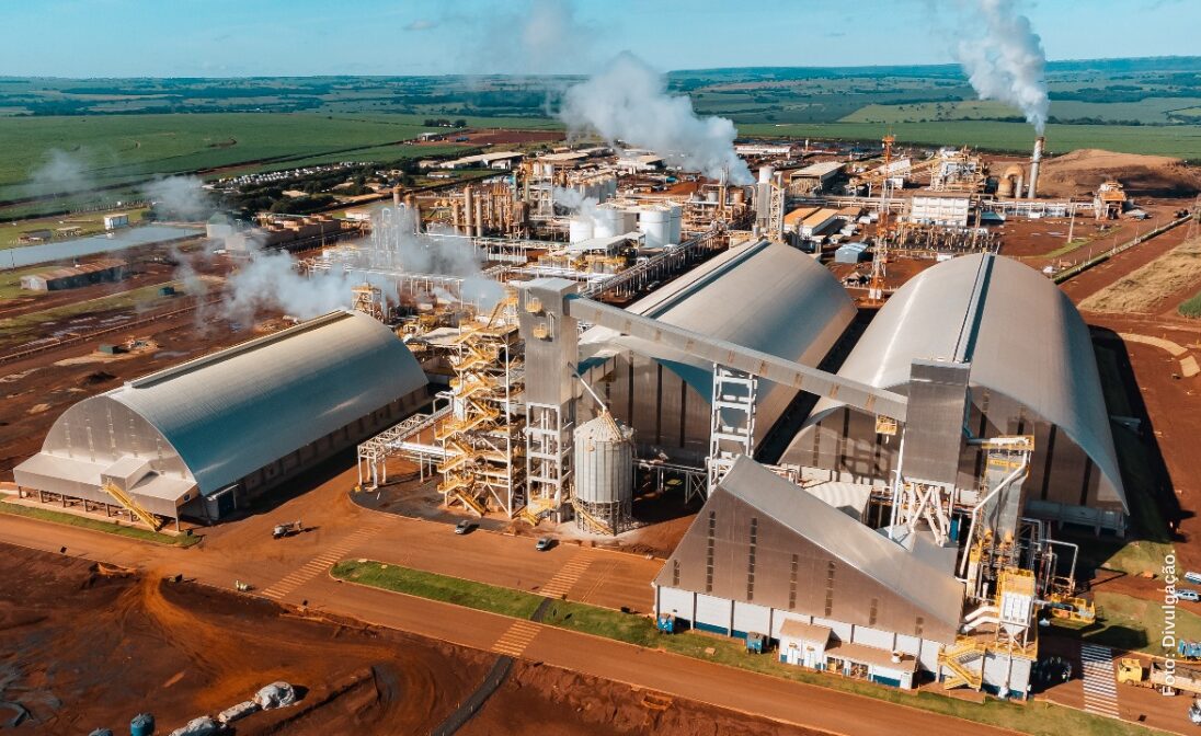 São Martinho investe mais de R$ 1 bilhão em etanol de milho – mas sem abandonar a cana