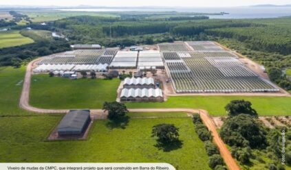 Nova fábrica de celulose de R$ 27 bi dobrará área de pesquisa e terá laboratório fitossanitário