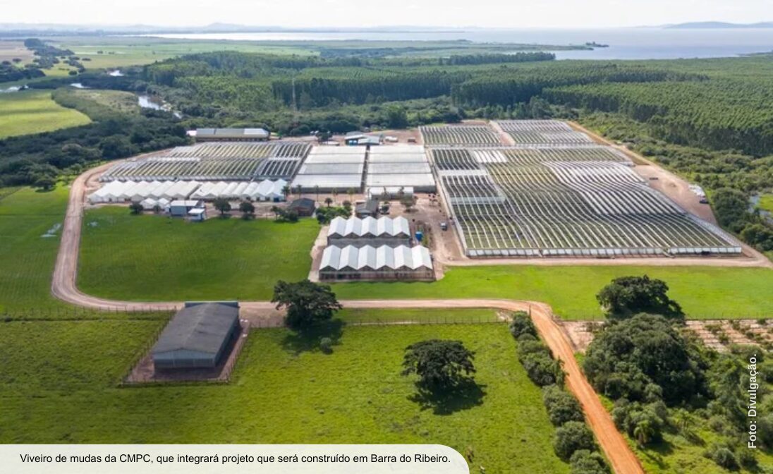 Nova fábrica de celulose de R$ 27 bi dobrará área de pesquisa e terá laboratório fitossanitário