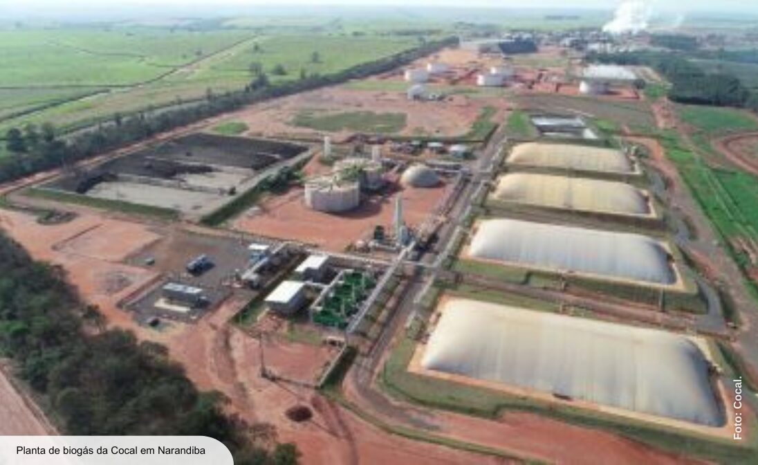 Biometano: a realidade que transforma o agro e impulsiona a descarbonização