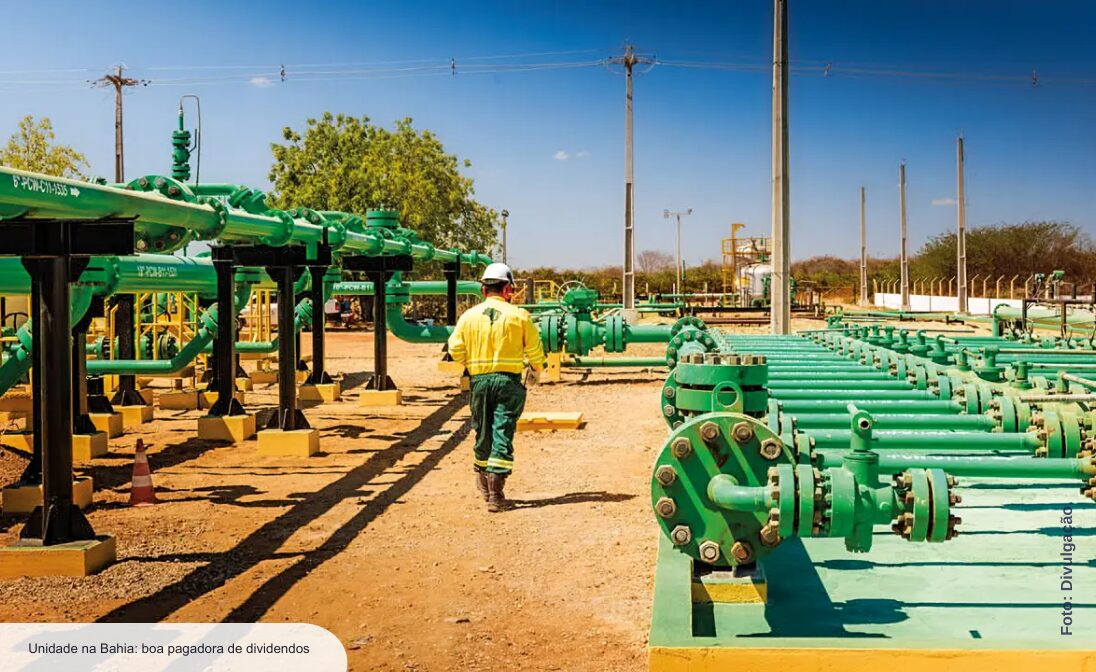 PetroReconcavo: Júnior com alma de veterana