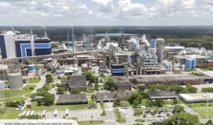 Suzano alerta para colapso no mercado global de celulose