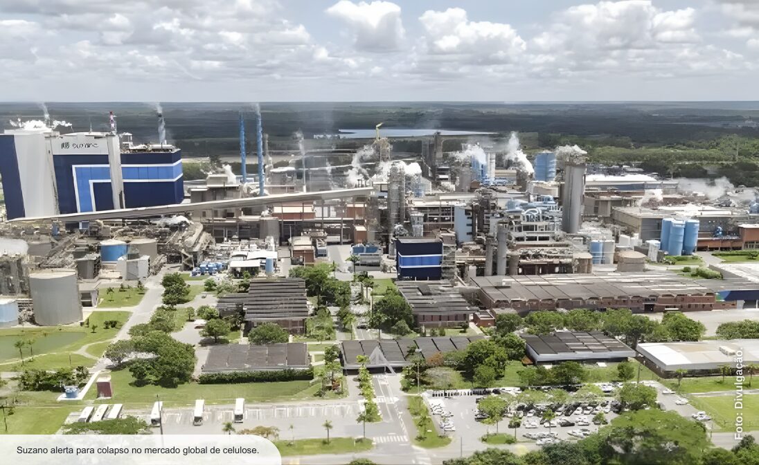 Suzano alerta para colapso no mercado global de celulose