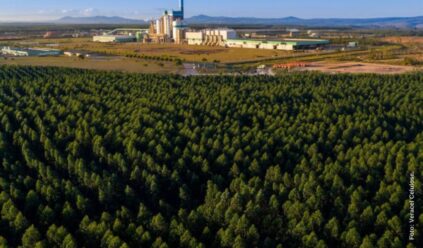 Parada Geral da Veracel prevê contratação de 1.200 profissionais na Bahia