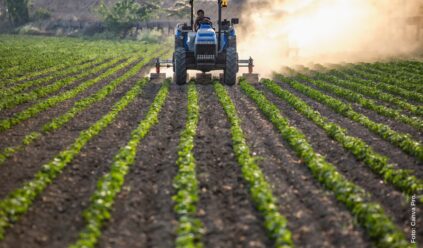 Guerra no Oriente Médio faz preço da ureia disparar e segue pressionando custos de fertilizantes no agronegócio