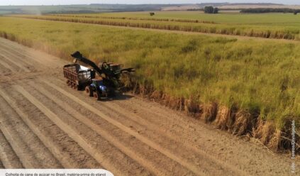 Etanol lidera nova fase de crescimento do setor energético brasileiro