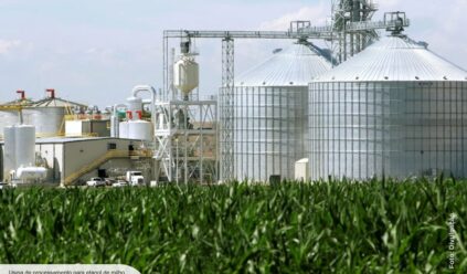 Inpasa projeta 10 biorrefinarias de milho até 2027