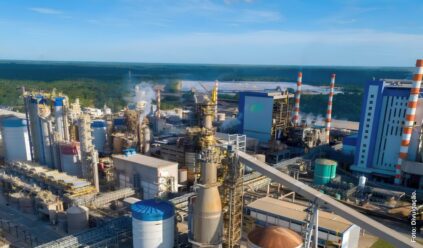 Nova estratégia da Suzano explica o próximo passo da líder em celulose